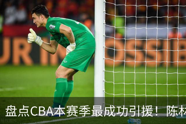 盘点CBA本赛季最成功引援！陈林坚第五，庞老六第四，徐昕第三，张镇麟第二，总决赛MVP第一！